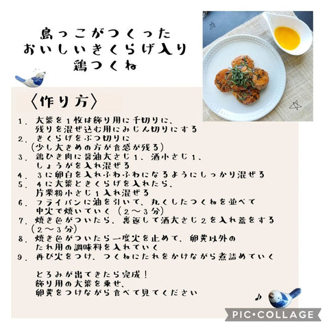 島っこがつくったおいしいきくらげ