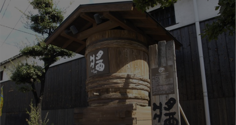 ガイド付きミニ散策ツアー